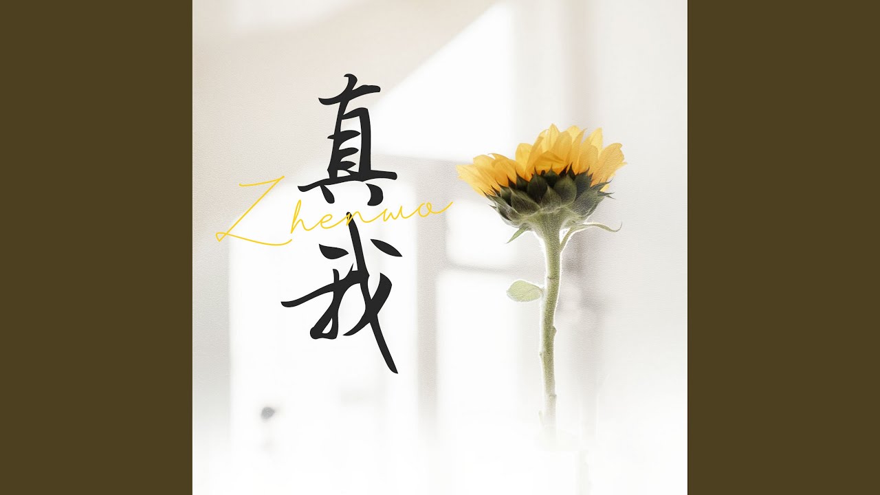 時(shí)空藝?yán)绕嬗觯航獯a譚卓個(gè)人資料長(zhǎng)相超美背后的熒幕魅力
