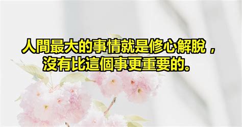 2025新澳天天彩免費大全:深度解析與超實用信息獲取指南