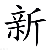 新澳門今晚開獎(jiǎng)結(jié)果號(hào)碼查詢表深度解析：掌握精準(zhǔn)與實(shí)時(shí)獲取之道