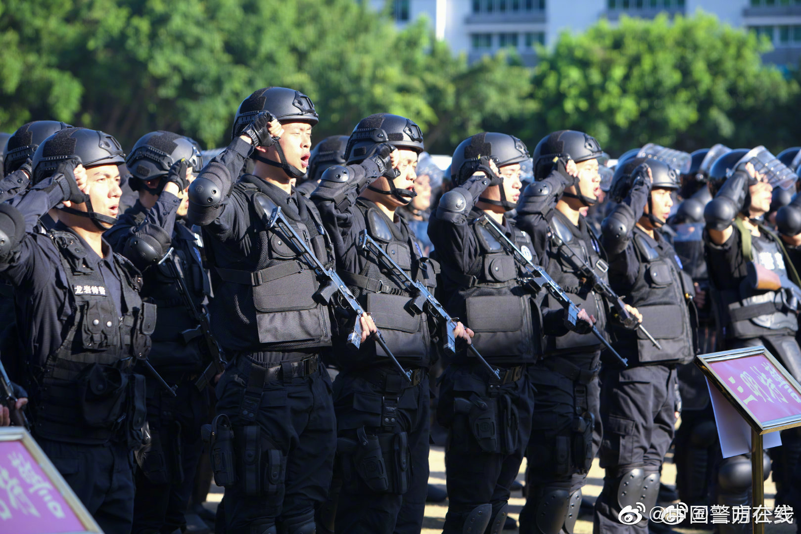 夜幕下的對話：探秘中國人民武裝警察部隊特種警察學(xué)院難考嗎的真相