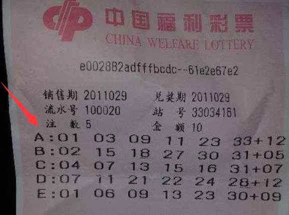 探秘王中王493333中特馬特色：數字謎團的邊境對話