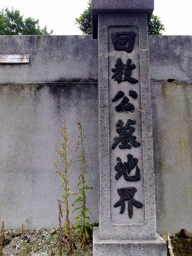 數(shù)字浪潮下的真?zhèn)无q:透視77777788888王中王正版引發(fā)的社會輿論風(fēng)暴