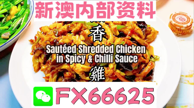 新奧精準(zhǔn)精選免費提供：深度解析其價值、獲取方法與應(yīng)用場景
