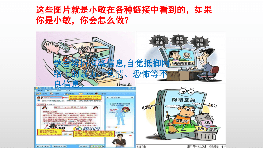 7777788888管家婆四肖深度解析:探秘數(shù)字背后信息與用戶關(guān)注點(diǎn)全攻略