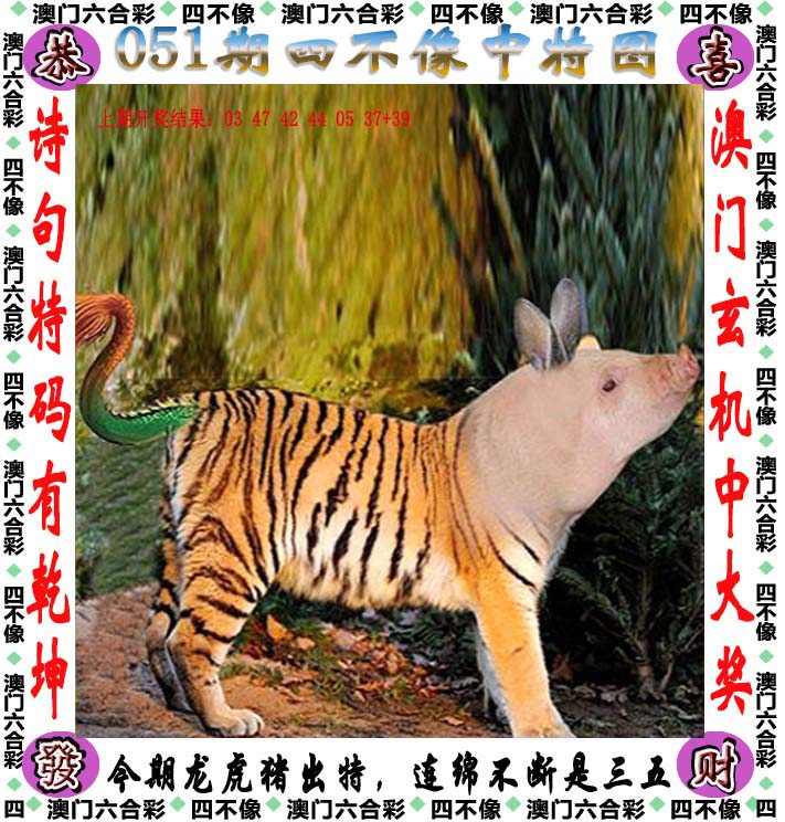 新澳門天天免費謎語下一期深度解析:益智娛樂新趨勢與獲取攻略