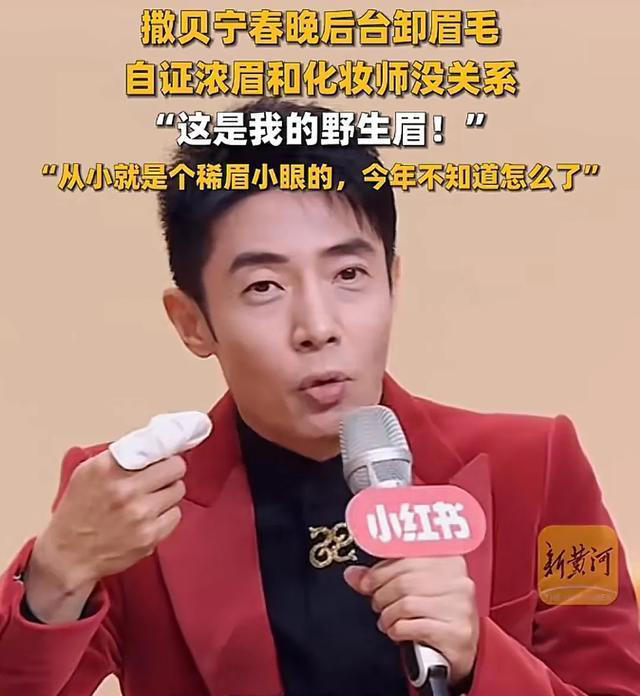 演員文晴：深度解析實(shí)力派的演藝之路與熒幕魅力
