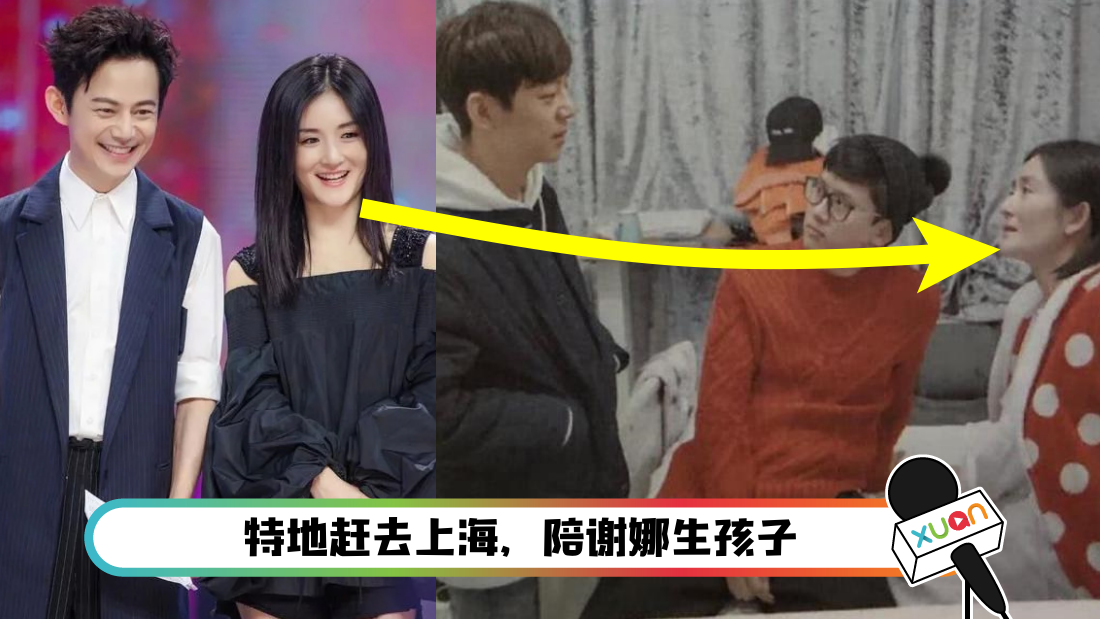 謝娜生了幾個(gè)寶寶是男是女？深度解析其幸福家庭的秘密與育兒點(diǎn)滴