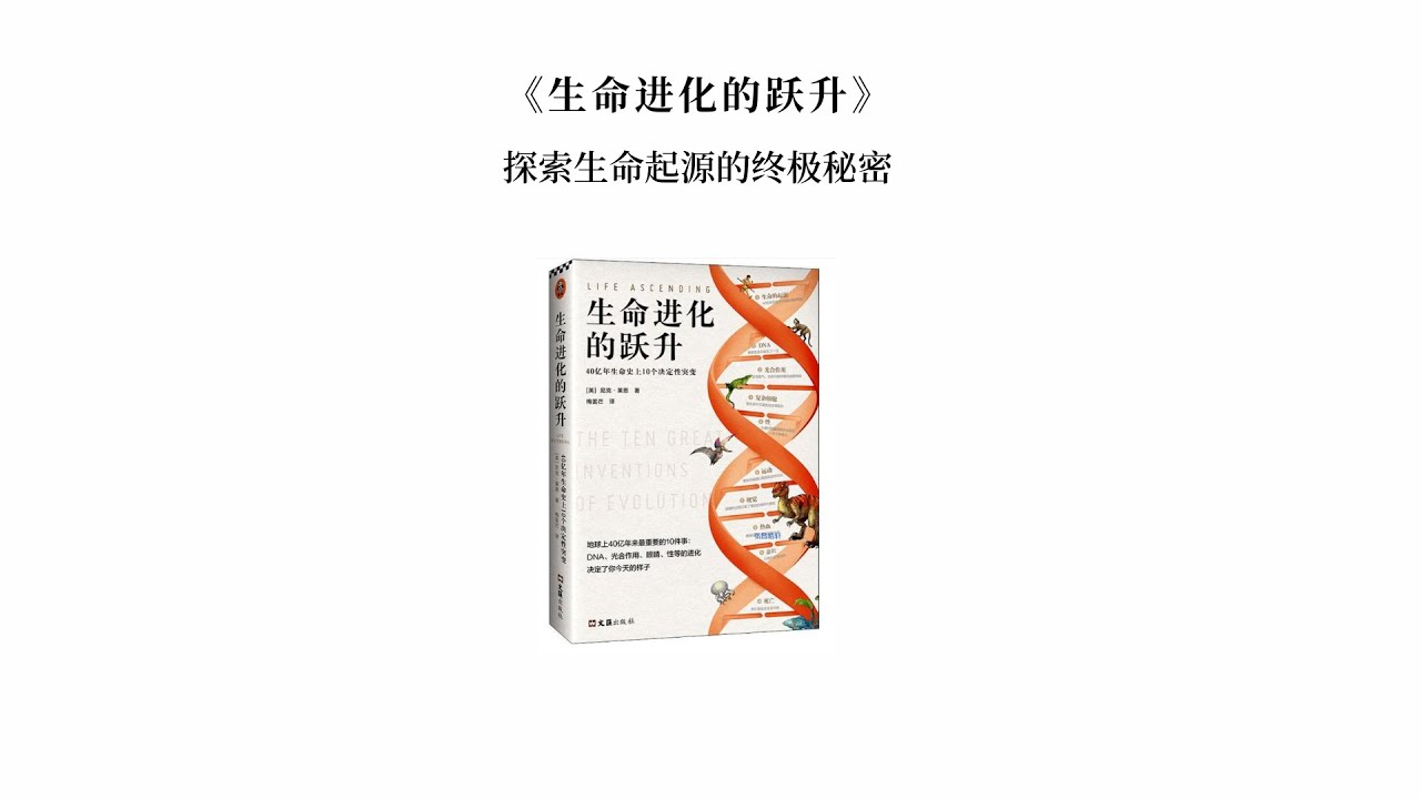探秘數(shù)字邊境：77777788888王中王與未來社會的深層博弈