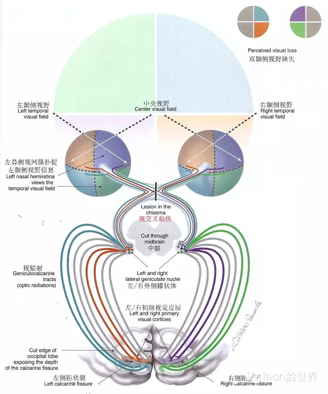 密集陣近防炮開火視頻深度解析:近距離防御系統(tǒng)的視覺震撼與實(shí)戰(zhàn)效能