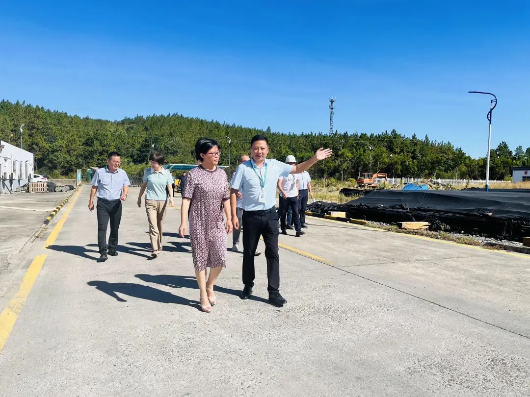 深秋茶館奇遇：解碼“新奧最精免費(fèi)大全管家婆”的未來圖景