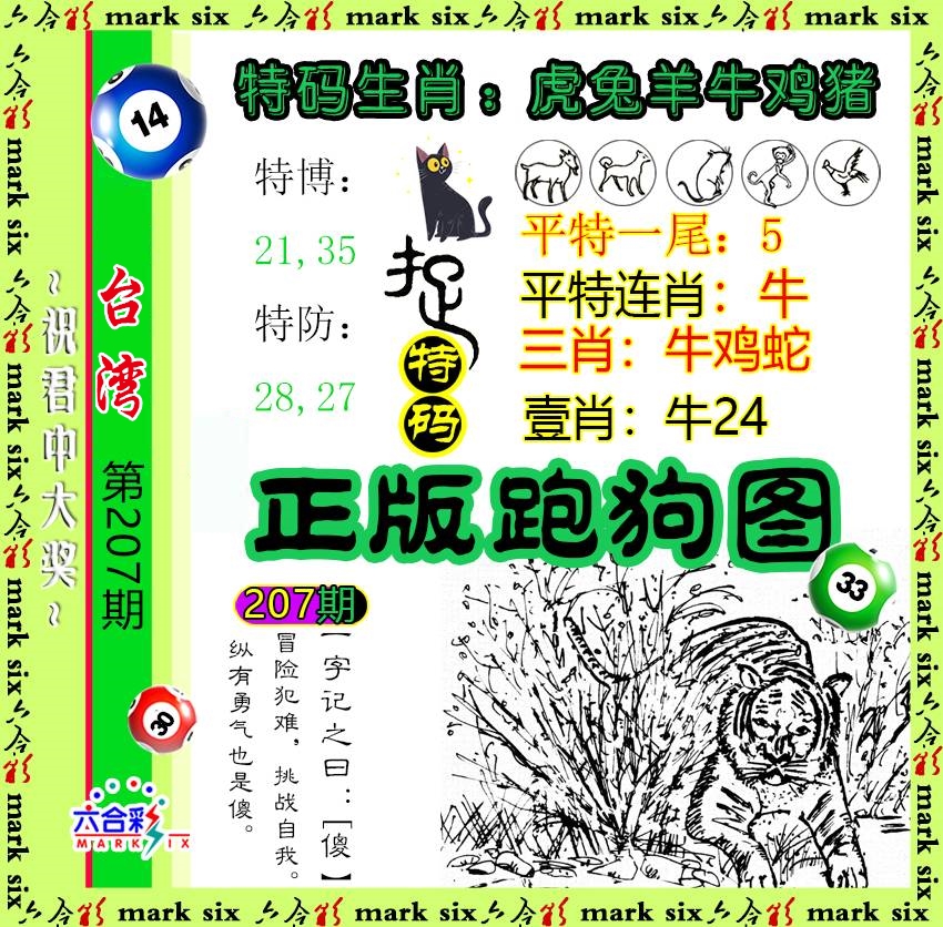 7777788888新版跑狗深度解析:掌握其背后邏輯與應(yīng)用精要