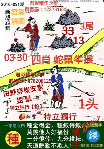 7777788888新版跑狗深度解析：掌握其背后邏輯與應(yīng)用精要