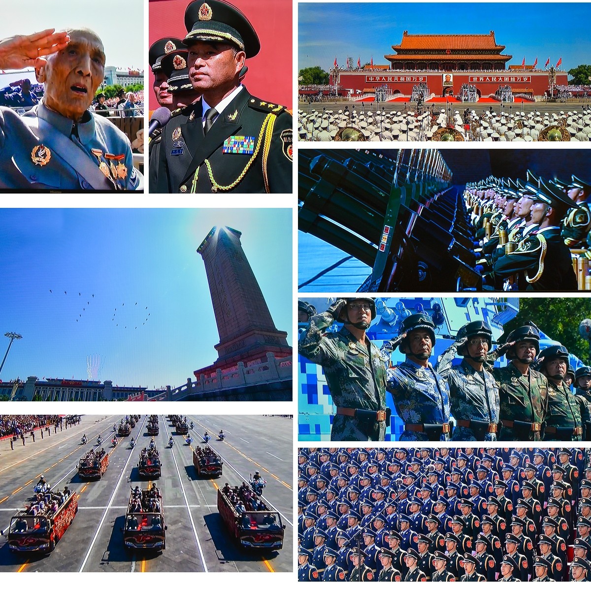 瑪?shù)鹿埠蛧啽鴪D片：深度解析國家象征與軍事風采的全攻略