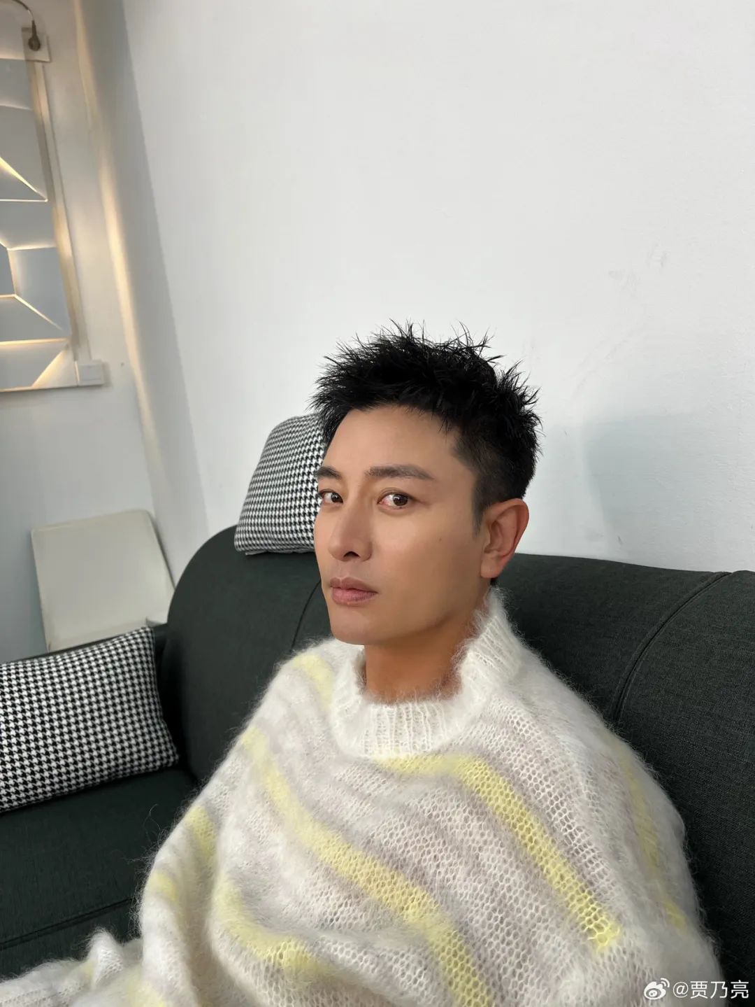 賈乃亮個人資料簡歷檔案:演藝生涯與多維影響力深度解析