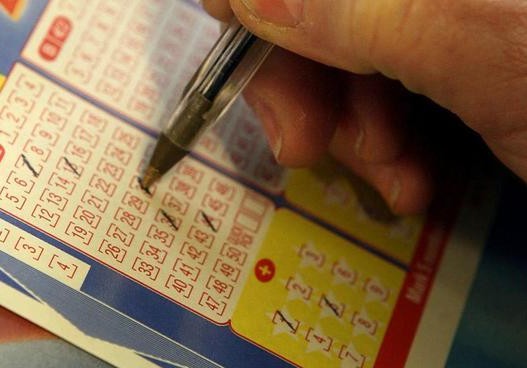2025新澳天天彩免費大全：理性獲取與價值深度解析