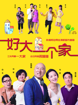 《好大一個家》電視劇演員表深度解析:角色與演技的魅力全攻略