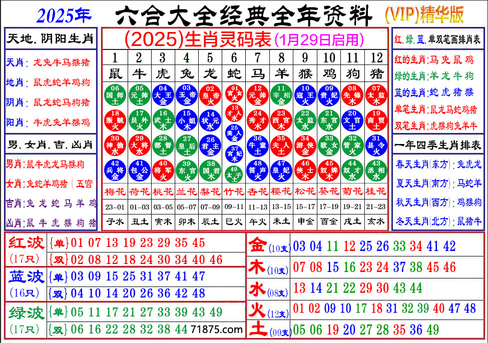 《迷霧中的尋寶圖：2025天天彩免費資料大全的數(shù)字漂流記》
