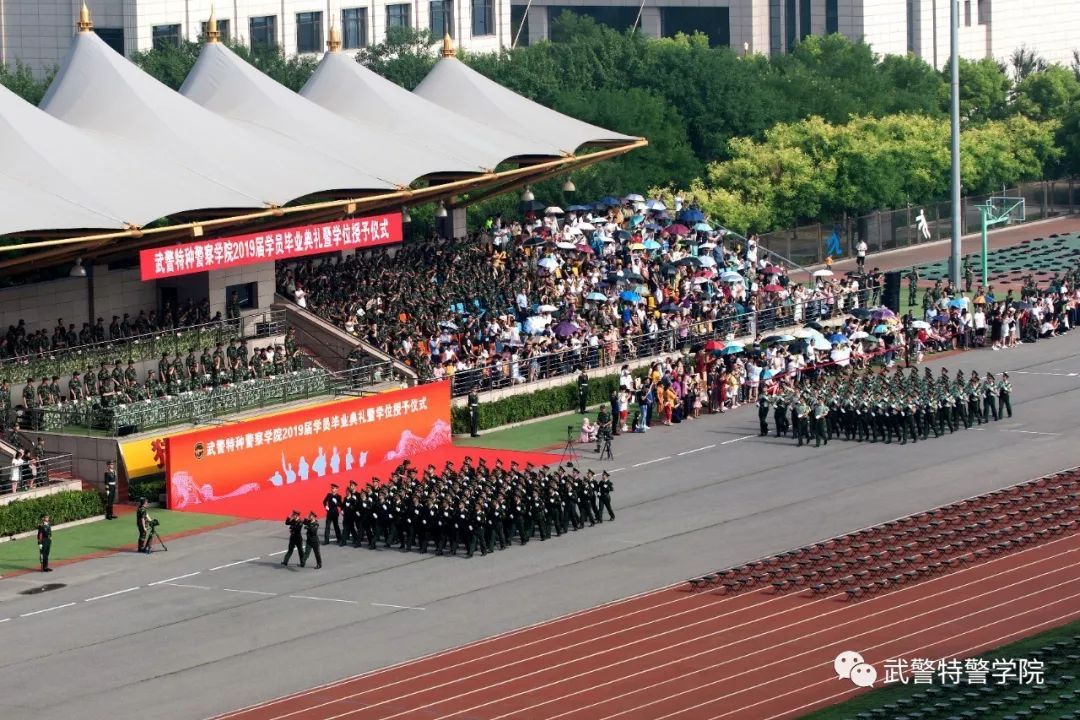 街角咖啡館里的思辨：中國人民武裝警察部隊(duì)特種警察學(xué)院出來是公務(wù)人員嗎？