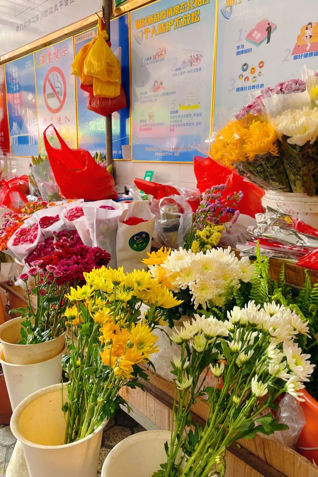 新門內(nèi)部資料最快更新，深度探索與前沿洞察，新門內(nèi)部資料更新速遞，深度探索與前沿洞察揭秘