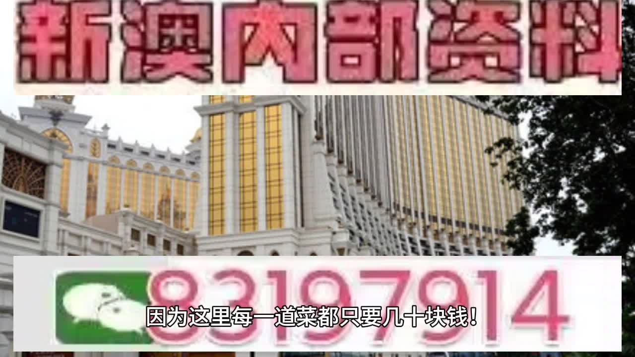 澳門六肖中特馬，探索與解讀，澳門六肖中特馬的探索與解讀指南