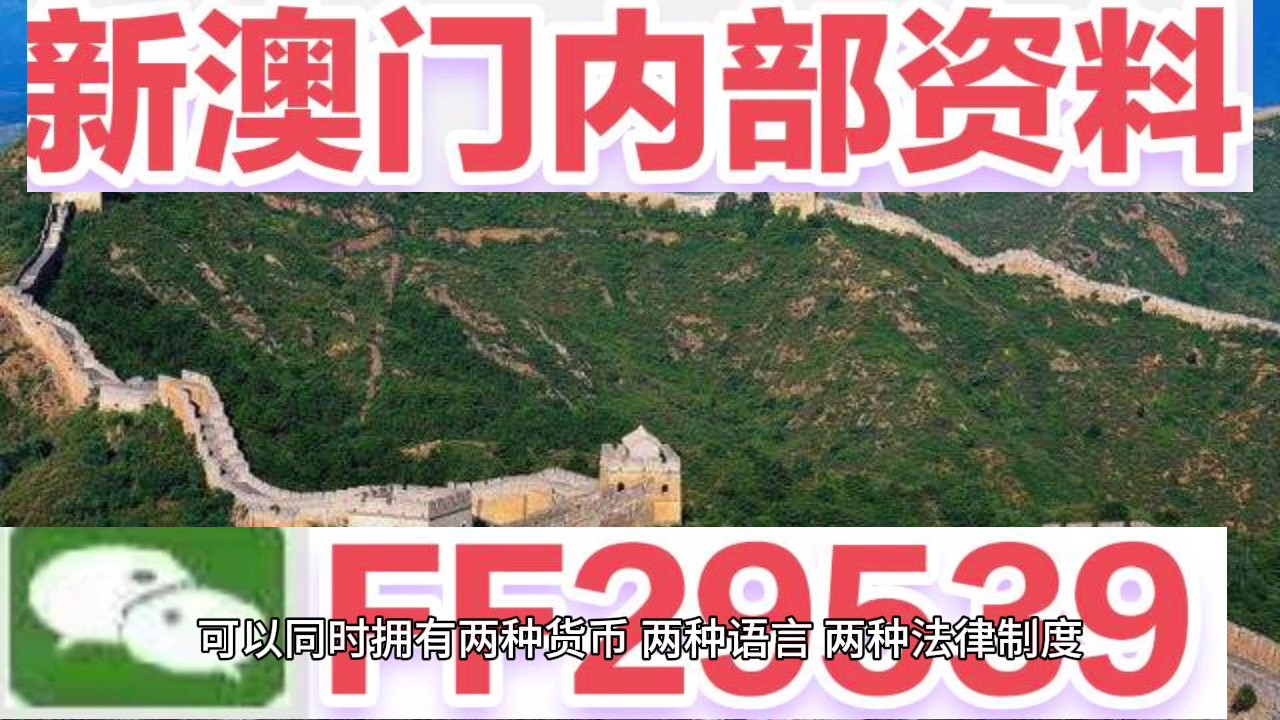 新澳門今晚開獎結(jié)果號碼查詢表，探索彩票世界的神秘面紗，新澳門今晚開獎結(jié)果號碼查詢表，揭開彩票世界的神秘面紗