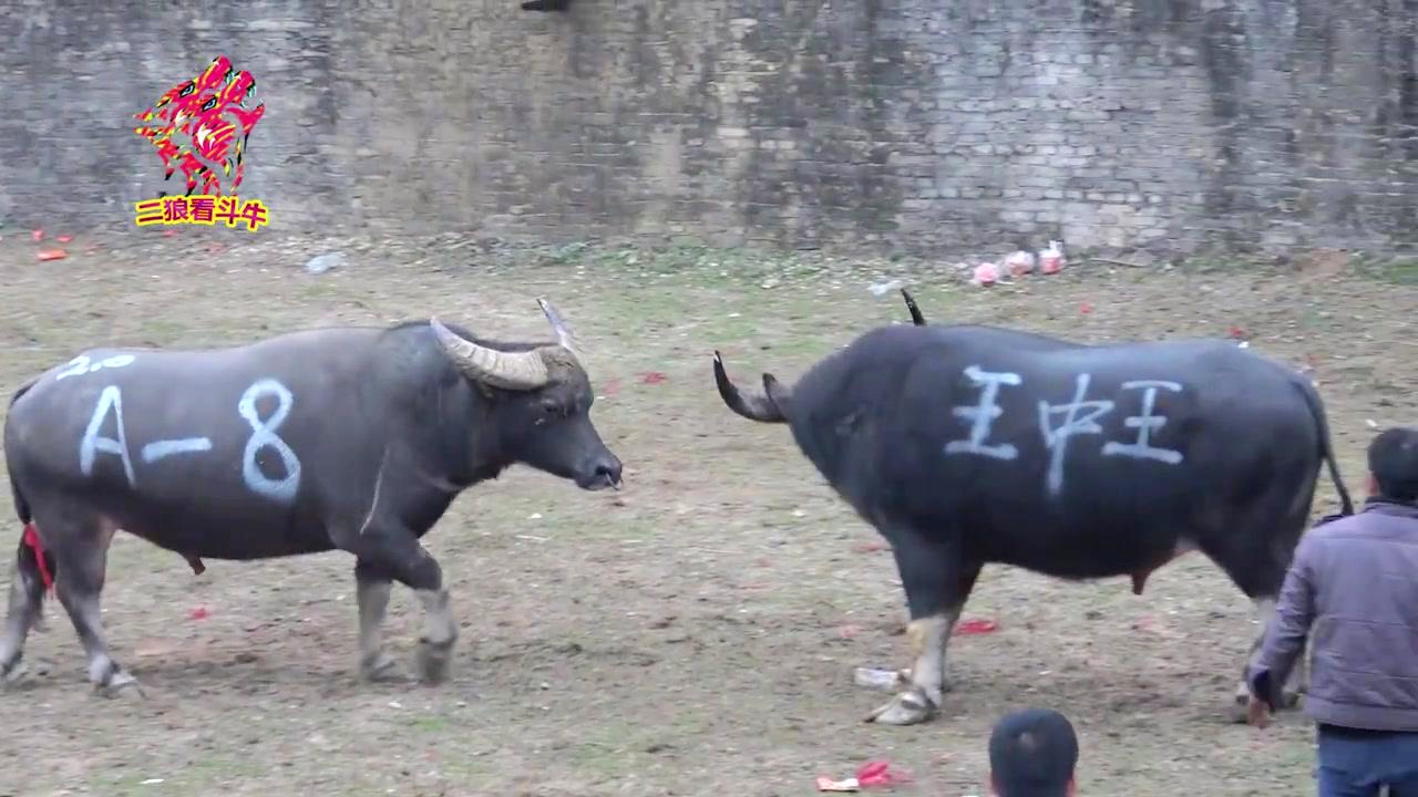 72396王中王高手論壇