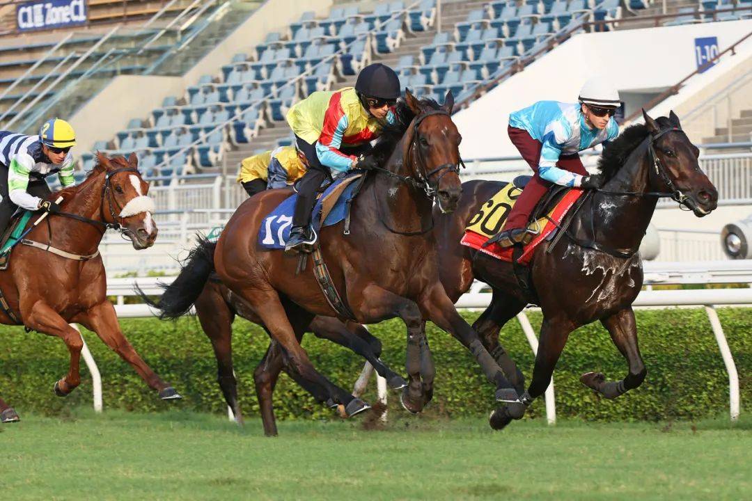 香港馬，77777與88888的傳奇故事，香港賽馬傳奇，77777與88888的傳奇篇章