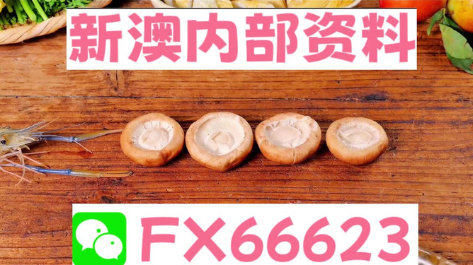 新澳全年免費(fèi)資料大全，探索與收獲，新澳全年免費(fèi)資料大全，探索之旅與收獲的時(shí)刻