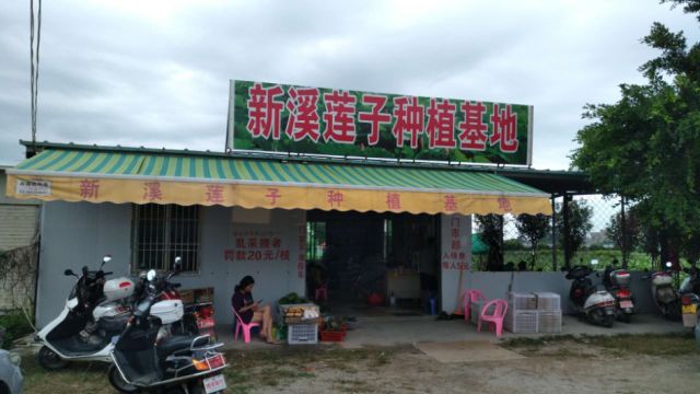 新溪門免費(fèi)資料大全，探索與收獲，新溪門免費(fèi)資料探索之旅，收獲與成長(zhǎng)