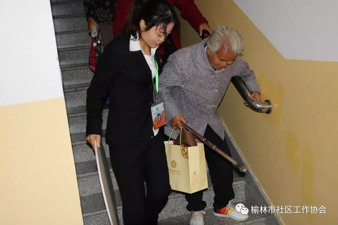 天天免費(fèi)資料彩票大全，探索彩票世界的奧秘與機(jī)遇，天天免費(fèi)資料彩票大全，揭秘彩票世界的奧秘與機(jī)遇