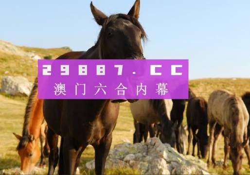 新澳門管家婆一特一中，探索現(xiàn)代博彩管理的典范，現(xiàn)代博彩管理典范，澳門管家婆一特一中探索之路
