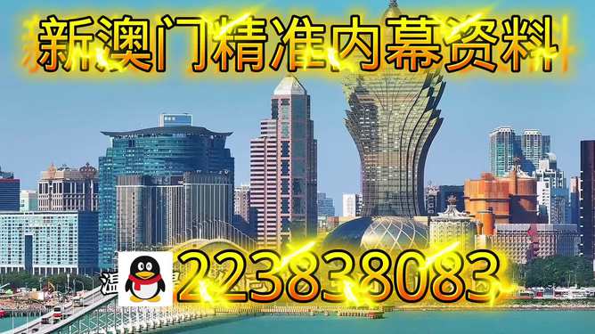 探索新澳門正版內(nèi)部，一個(gè)多元化的未來(lái)展望（至2025年），澳門未來(lái)展望，探索多元化發(fā)展之路至2025年