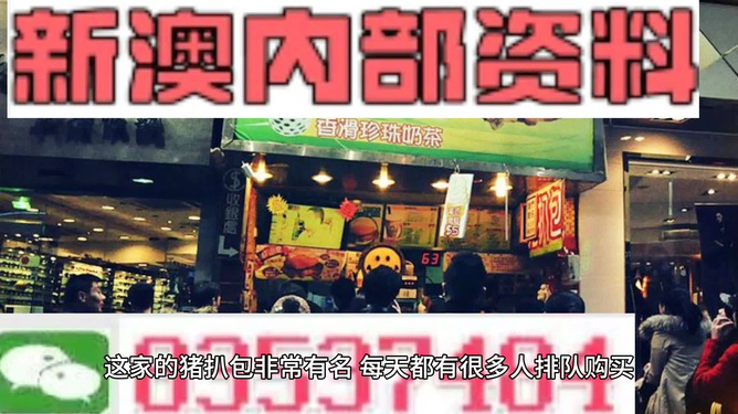 新奧天天精準(zhǔn)資料大全，深度解析與實(shí)際應(yīng)用，新奧天天精準(zhǔn)資料大全，深度解析及實(shí)際應(yīng)用指南