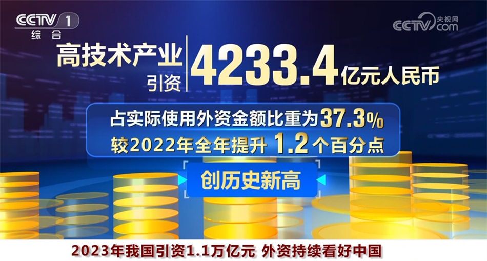 探索數(shù)字世界中的王中王，特點與亮點解析，數(shù)字世界中的王中王，特點與亮點深度解析