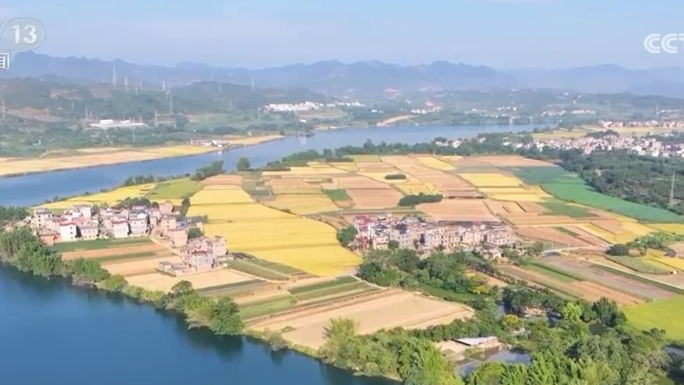 澳門(mén)大三巴一肖二肖，歷史、文化與神秘魅力的交織，澳門(mén)大三巴一肖二肖，歷史、文化與神秘魅力的交融之處
