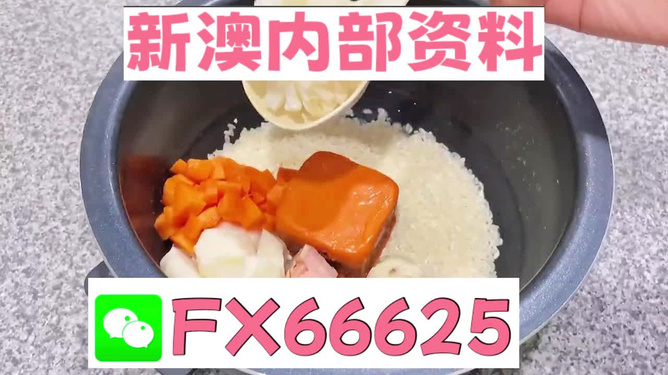 新奧精準(zhǔn)免費(fèi)資料提供，探索與啟示，新奧精準(zhǔn)免費(fèi)資料探索，啟示與分享