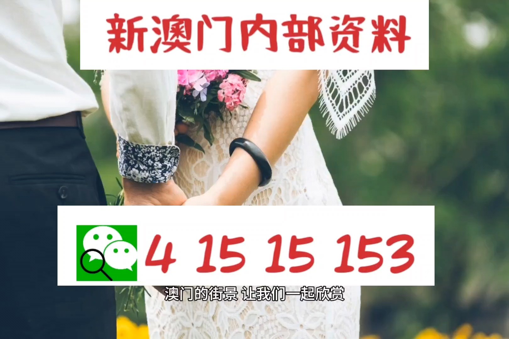澳門六肖中特馬，探索與解讀，澳門六肖中特馬的探索與解讀指南