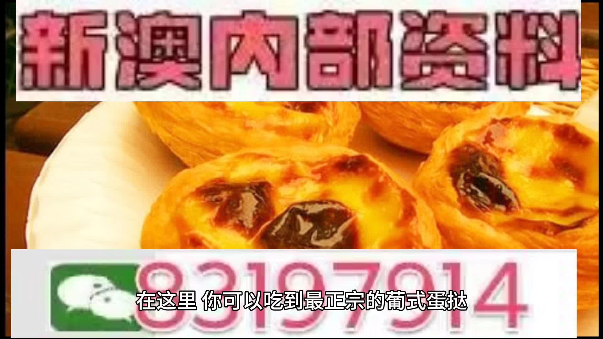 探索未來的澳門，新澳門中特網(wǎng)的發(fā)展與展望，澳門未來探索，新澳門中特網(wǎng)的發(fā)展展望