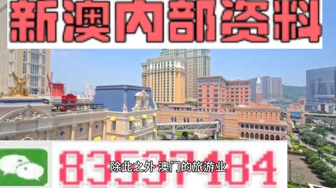 新澳門內部精準公開的多元發(fā)展與活力展望，澳門多元發(fā)展的活力展望與內部精準公開新動向