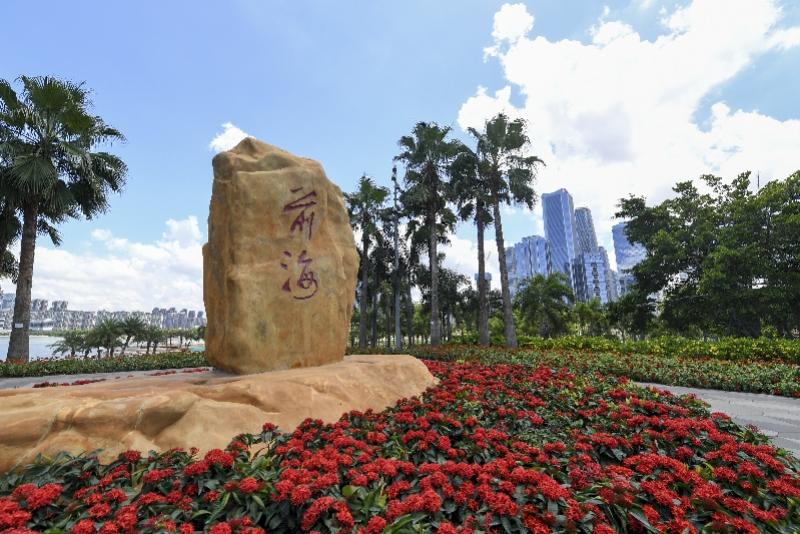 新澳門內(nèi)部精準(zhǔn)公開，探索與解讀，澳門內(nèi)部精準(zhǔn)解讀，探索與揭秘