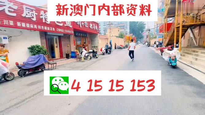 新奧天天開好彩大全——邁向成功的關(guān)鍵所在，新奧天天開好彩大全，成功之關(guān)鍵所在
