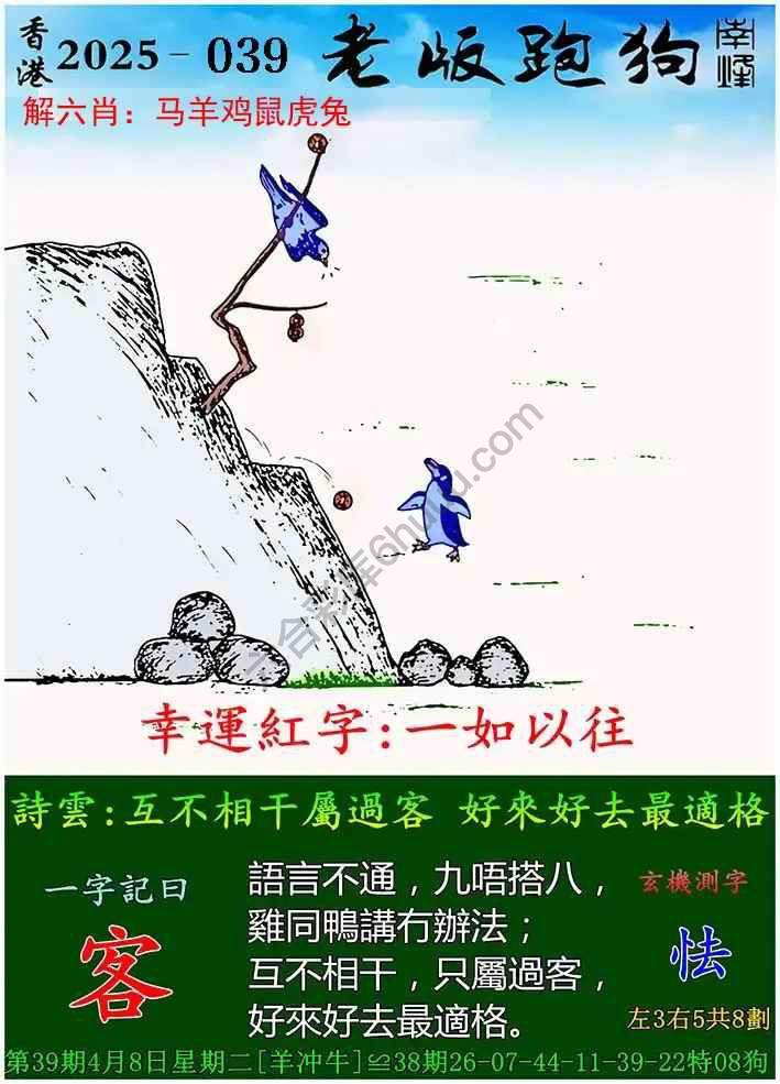探索全新體驗(yàn)，7777788888新版跑狗，探索全新跑狗體驗(yàn)，7777788888新版來襲