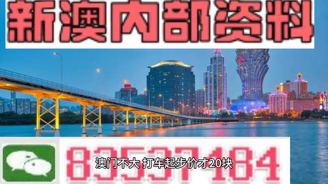 新澳期期期，探索未來的機(jī)遇與挑戰(zhàn)，新澳期期期，未來機(jī)遇與挑戰(zhàn)的探索