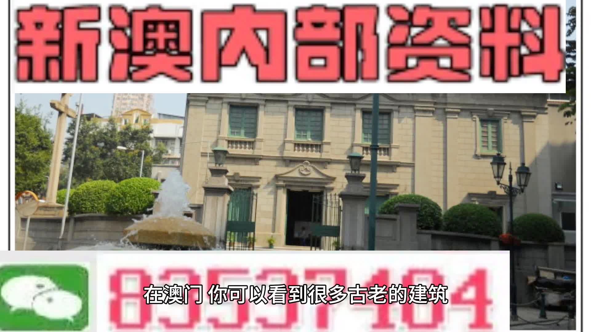 新門內(nèi)部免費(fèi)資料大全，探索知識的寶庫，新門內(nèi)部知識寶庫，免費(fèi)資料大全探索之旅
