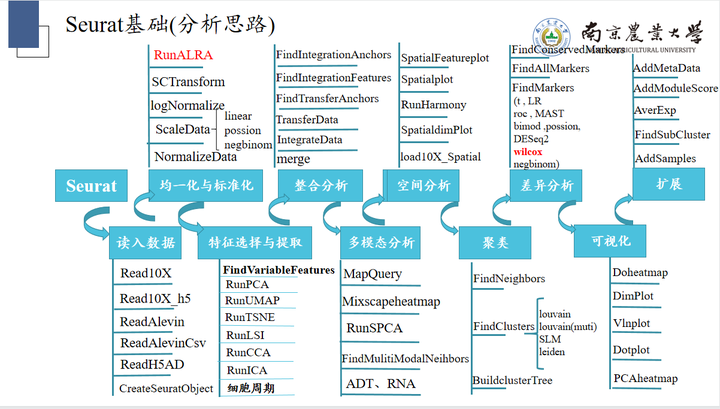 新奧天天免費資料單雙：揭秘免費資料獲取全攻略與風險規(guī)避