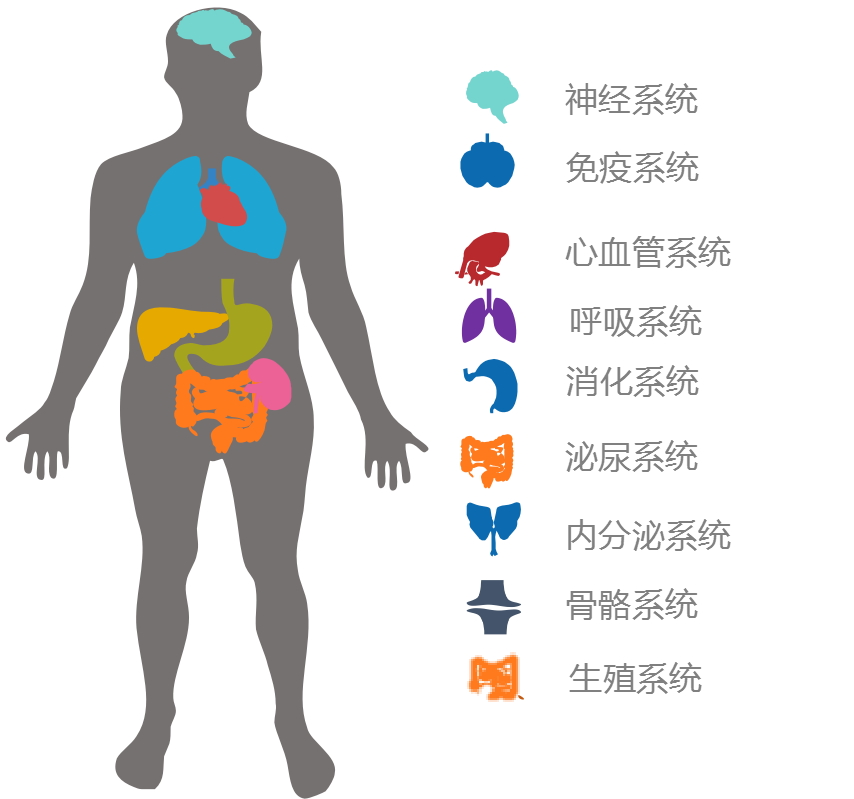 深度解析:陳奕迅“重要部位切除”事件的真相與影響全攻略
