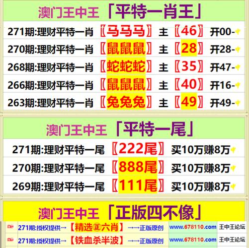 深度解析:王中王493333中特大全的價(jià)值與高效利用全攻略